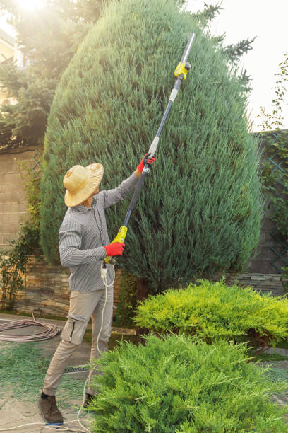 Best Hazardous Tree Removal  in Ramsey, NJ
